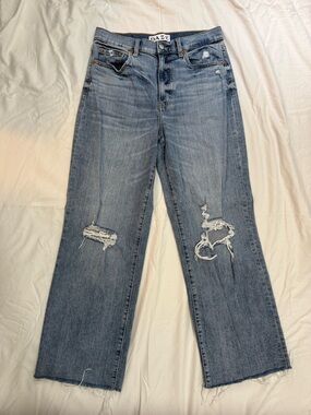 DAZE Distressed Straight Leg Frayed Bottom Women's Jeans